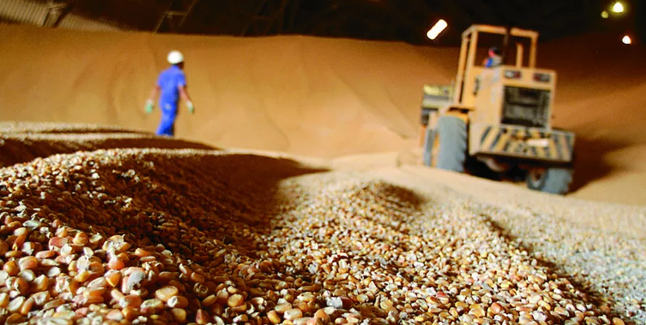 Exportações de milho por Paranaguá cresceram 221% no primeiro semestre